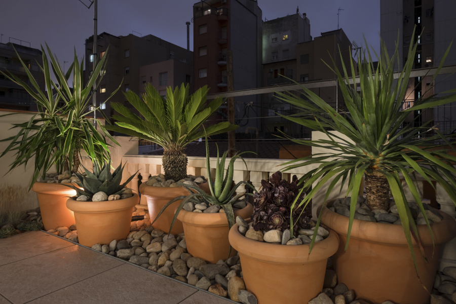 Terraza con aires tropicales 