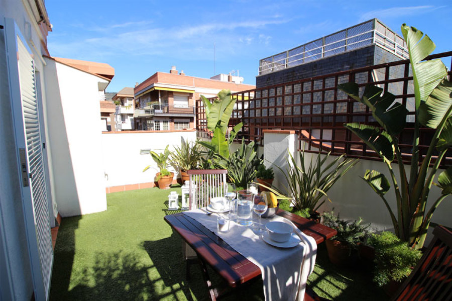 Terraza con cesped