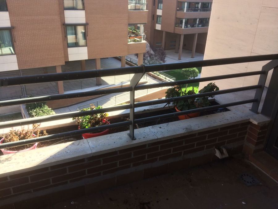 Terraza con jardineras