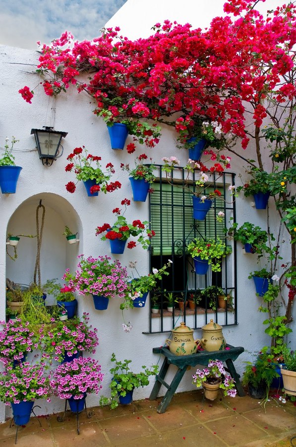 terraza con plantas coloridas