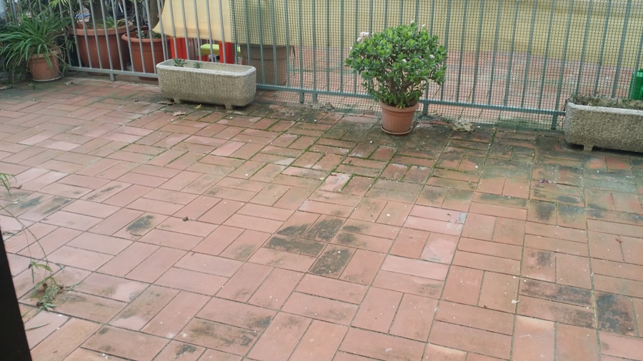 TERRAZA , ESTADO INICIAL