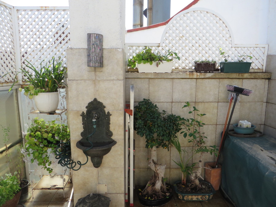 Terraza Sin Reformar