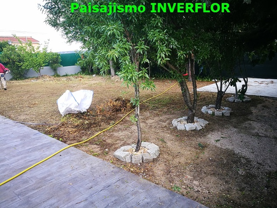 TERRENO AL COMENZAR LA OBRA