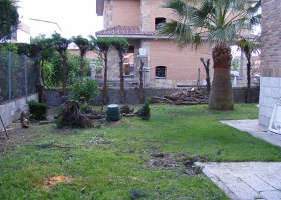 terreno inicial piscina