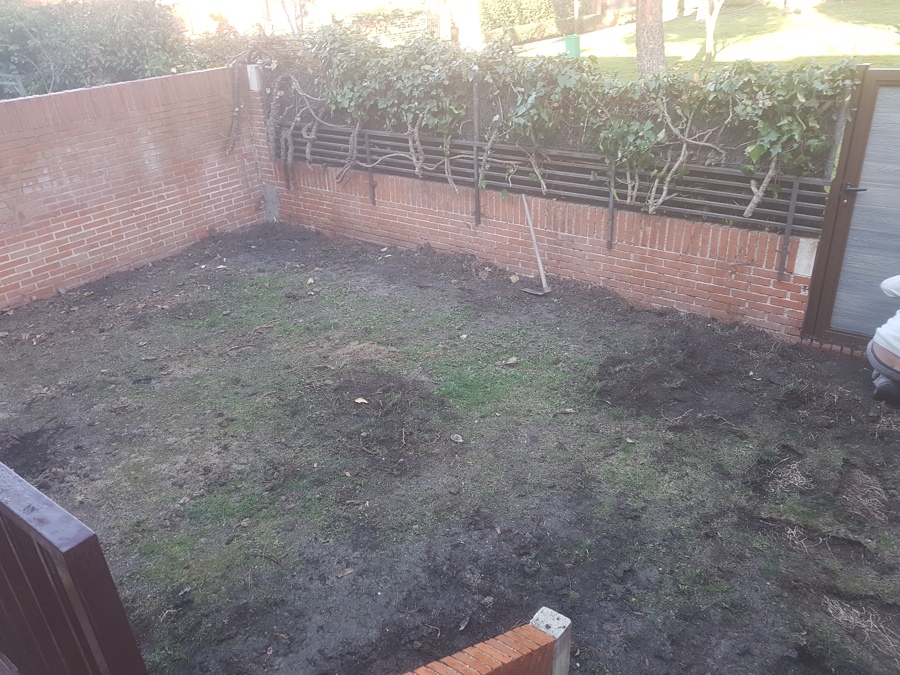 Terreno nada más empezar