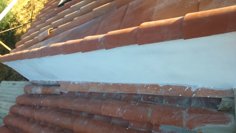 TESTERO LUCIDO CON MORCEN