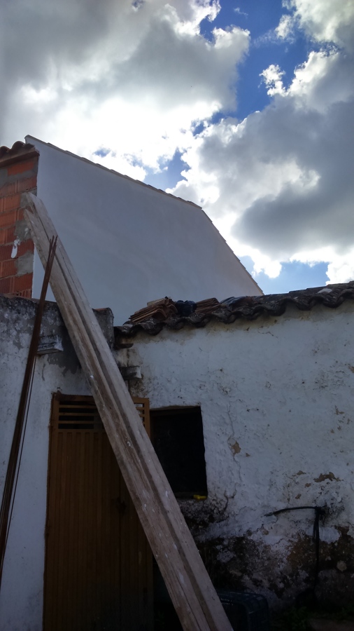 TESTERO LUCIDO CON MORCEN