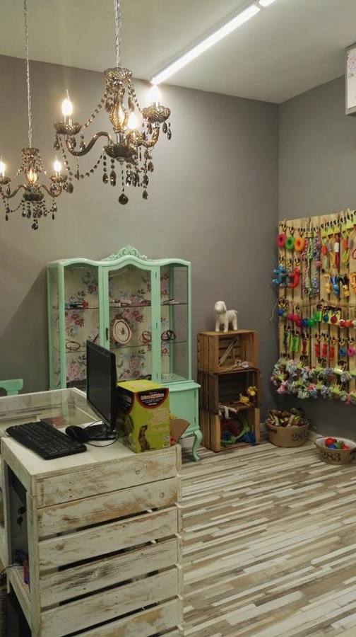 Tienda accesorios animales