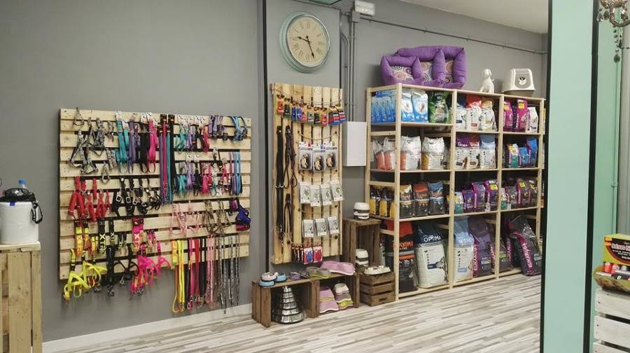 Tienda accesorios de animales