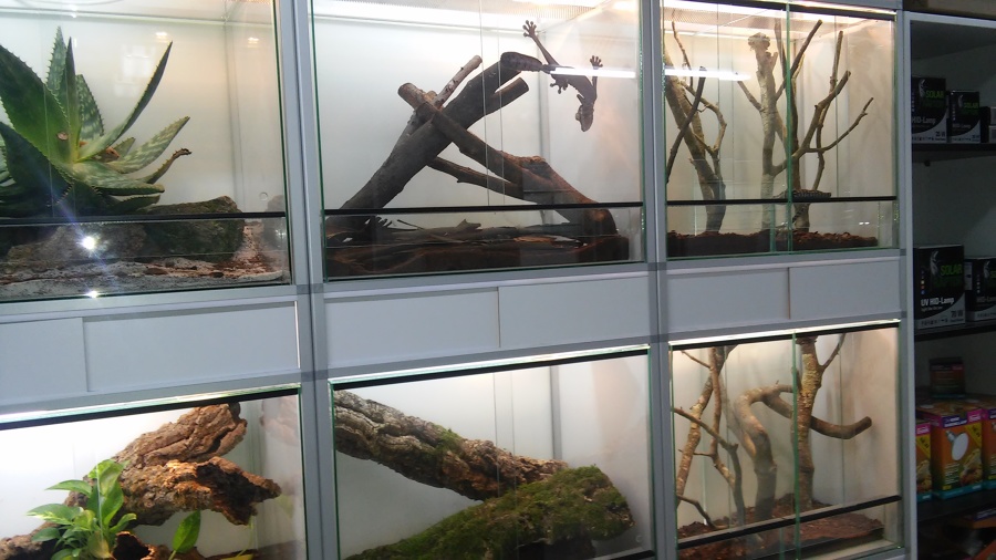 Tienda de animales exóticos. Dsitribución