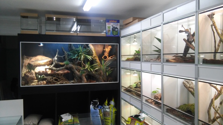 Tienda de animales exóticos. Iluminación general