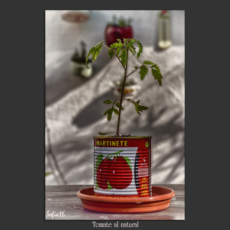 Tomate al natural