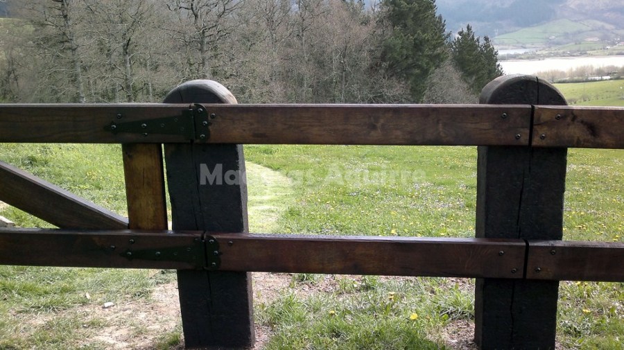 Trabajo de jardineria