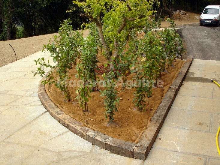 Trabajo de jardineria