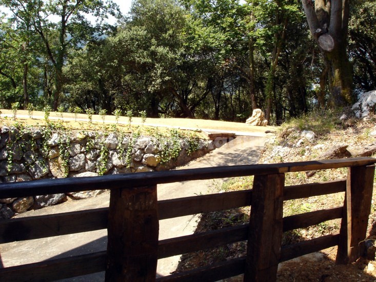 Trabajo de jardineria