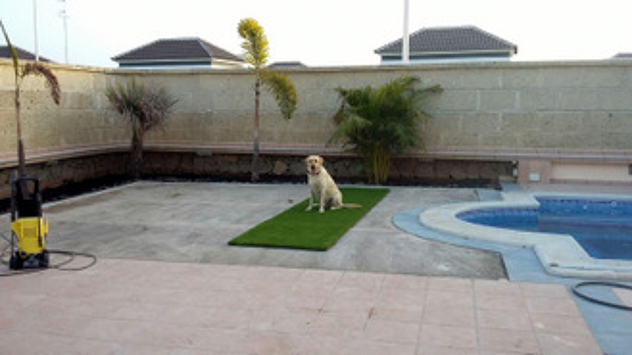 Trabajo en curso antes de terminar