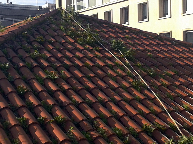 Trabajos de limpieza en cubierta C1