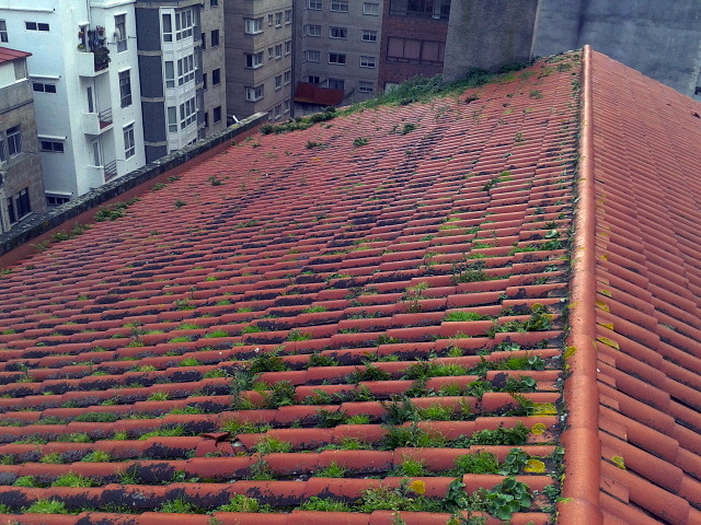 Trabajos de limpieza en cubierta 