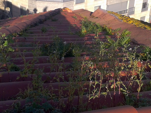 Trabajos de limpieza en cubierta 