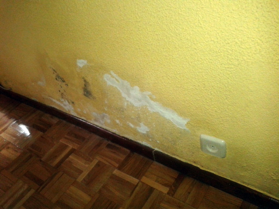 Trabajos de saneamiento de humedades