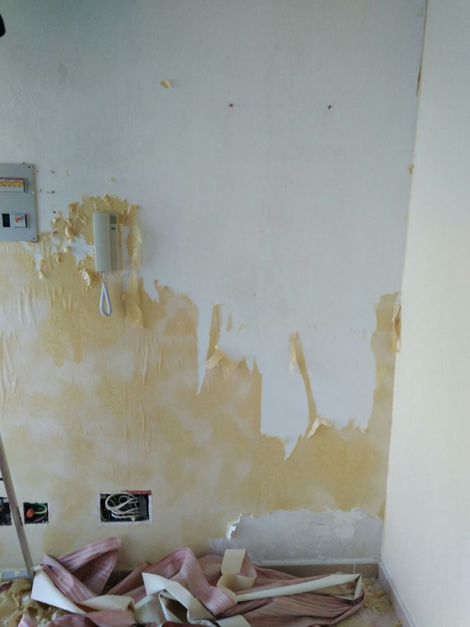 Trabajos para quitar el papel