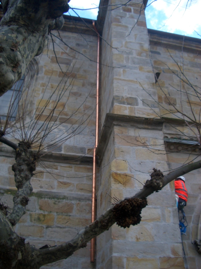 Trabajos verticales en Basilica de Begoña