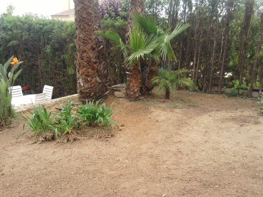 Transplante de especies