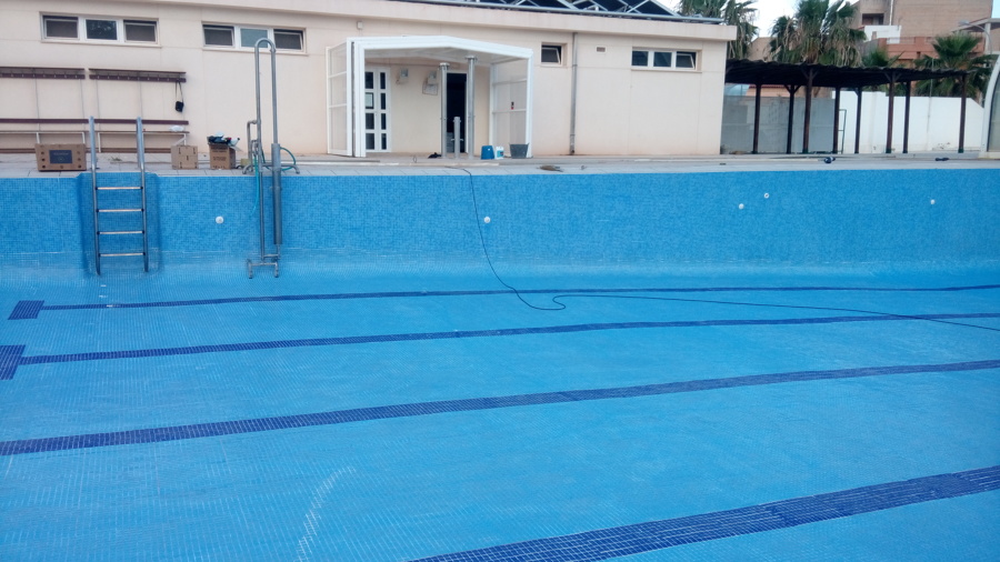 tratamiento anti algas echado