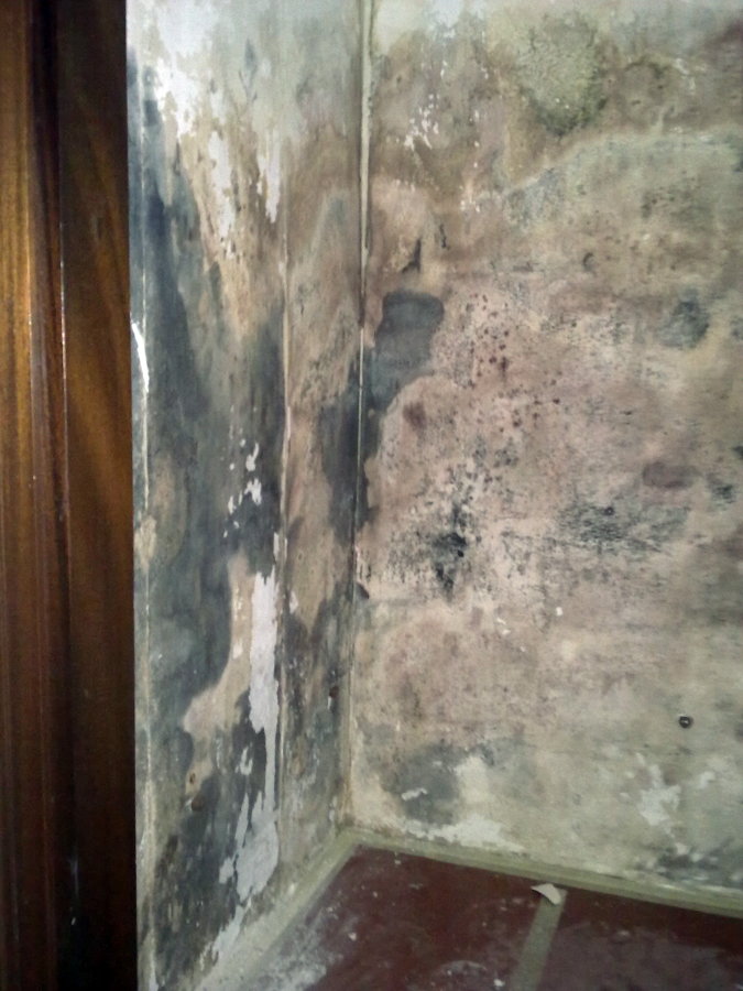 Tratamiento antihumedad. ANTES