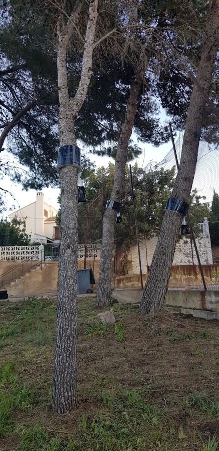 Tratamiento de Procesionaria