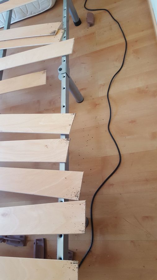 Tratamiento Térmico contra Chinches