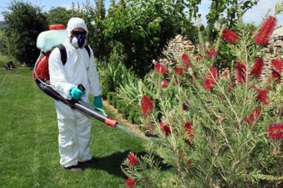 Tratamientos fitosanitarios