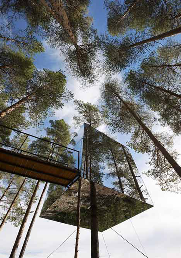 treehotel Mirror Tree House