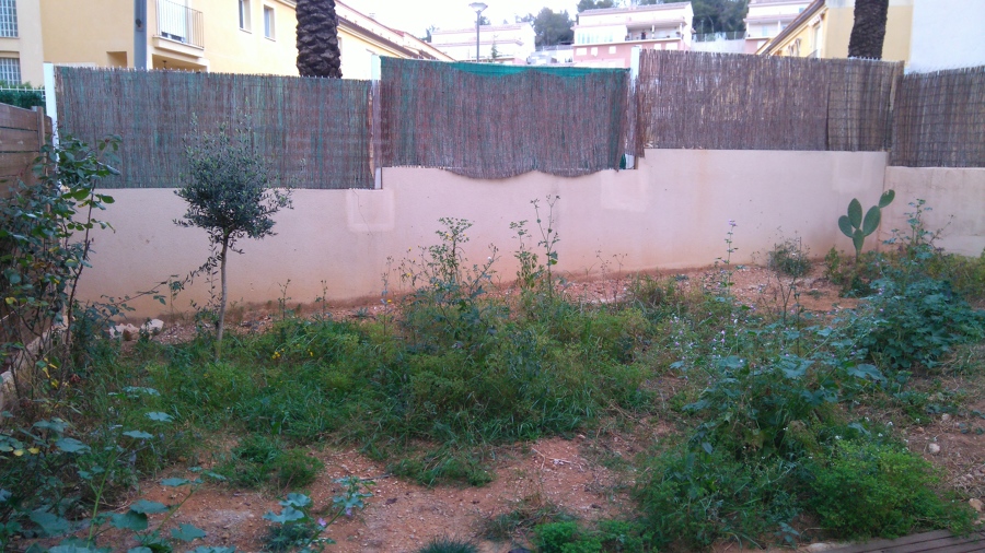 Ubicación de la piscina