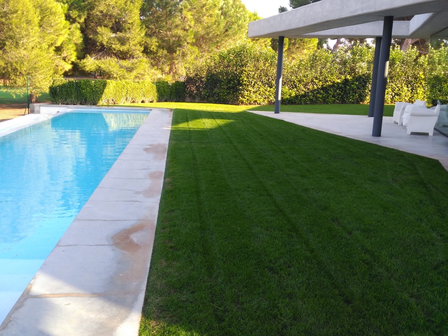 Una tentación y gusta de ver