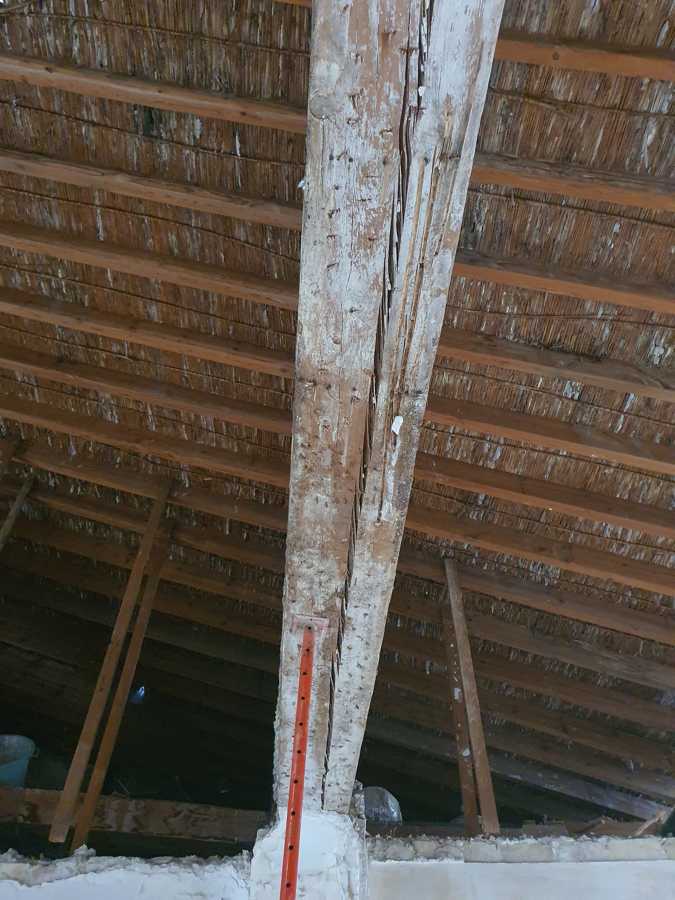 Viga central del tejado