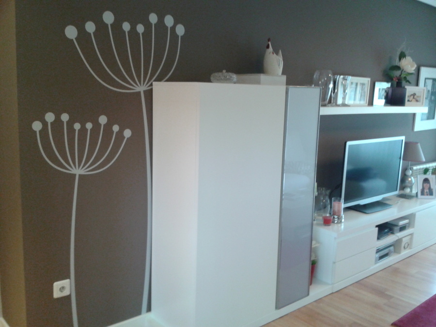 VINILO DE CORTE EN SALÓN