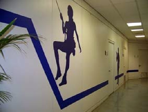 Vinilos personalizados