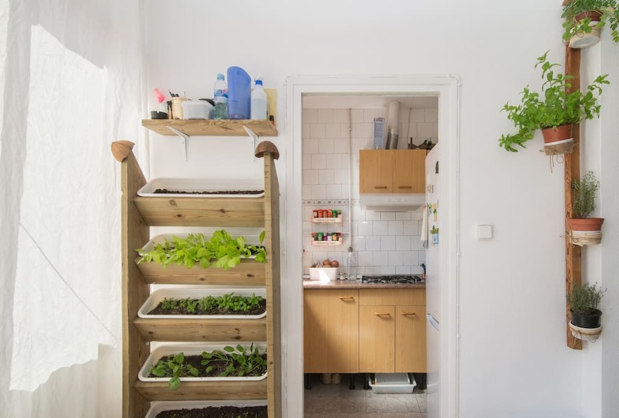 Vista a la cocina y al huerto vertical