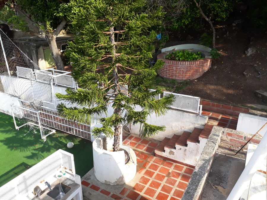 Vista de estanque de koi