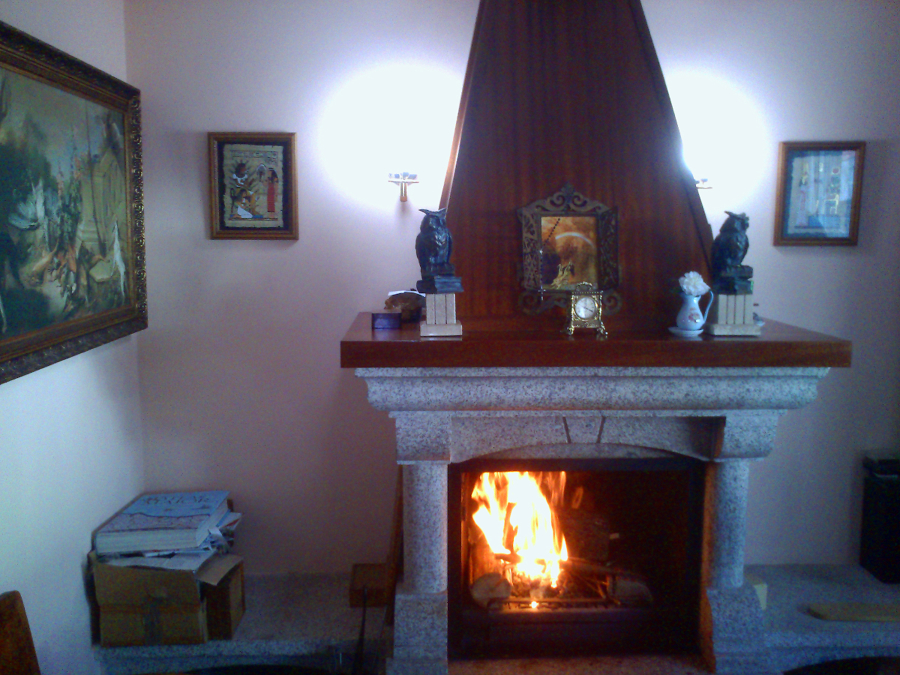 Vista de salon Chimenea 
