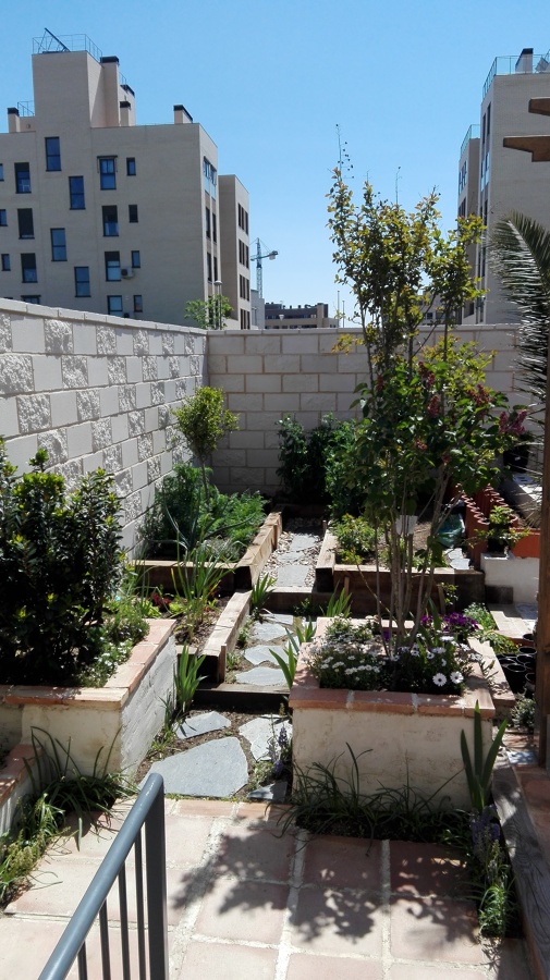Vista del huerto y jardineras