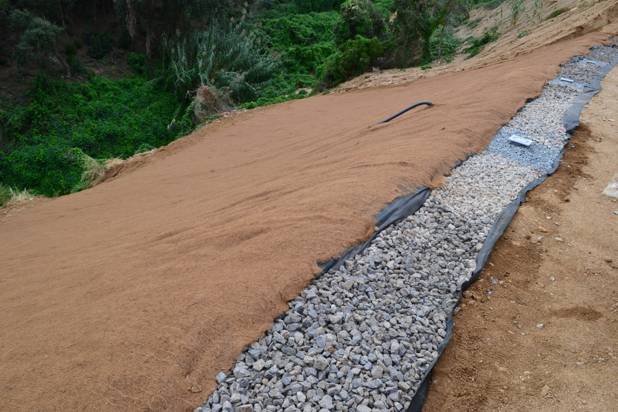 Vista derecha de la malla