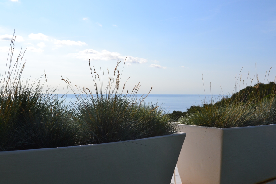 Vista detalle jardineras