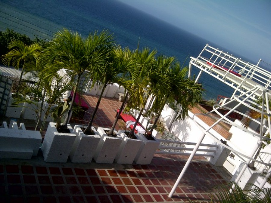 Vista general de jardin de chaguaramos