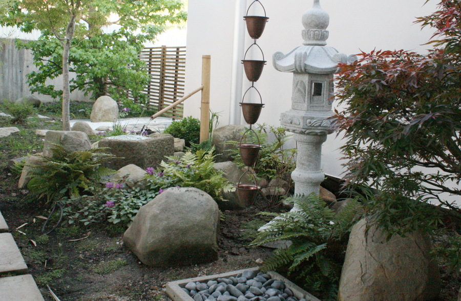 Vista general del jardin