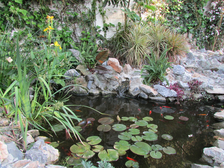 VISTA GENERAL LACUSTRES