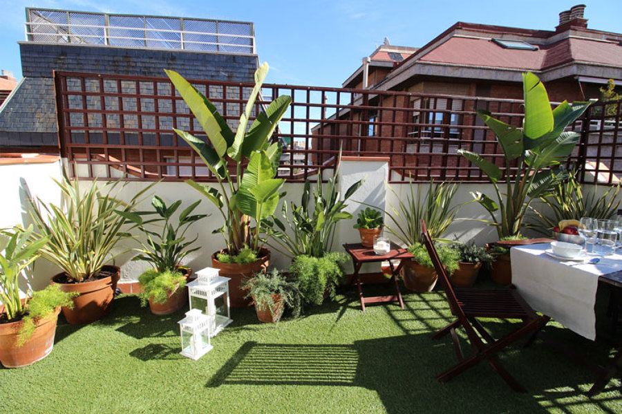 Vista general terraza