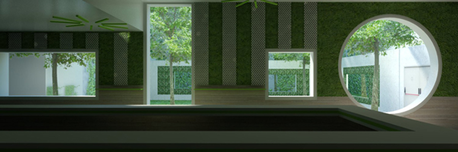 Vista hacia el jardín