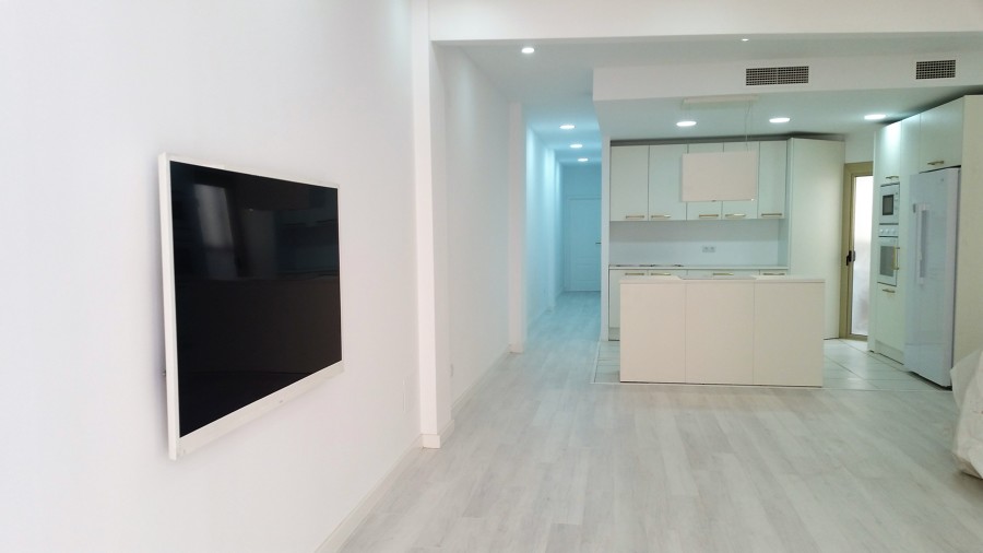 Vista parcial Salón-Cocina y Pasillo